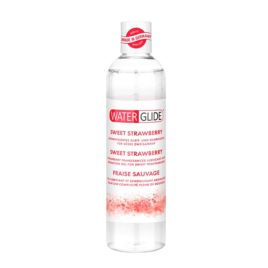 GEL LUBRICANTE WATERGLIDE FRESA 300 ML