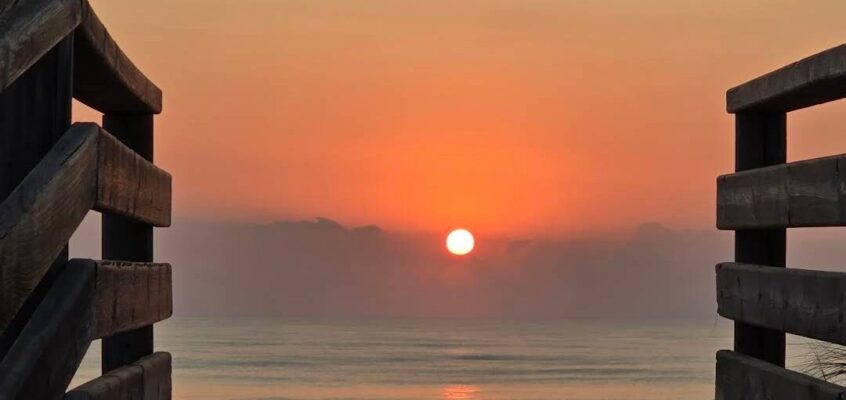 Llego el verano ☀ 2025