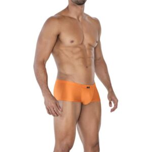 Calzoncillo Hipster Copper Spring
