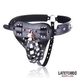 Cinturón de Castidad Masculino con Candado Ajustable
